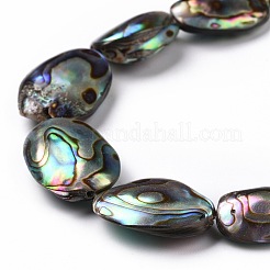 Бусины из натуральных раковин морских ушек/ракушки пауа SSHEL-E379-1