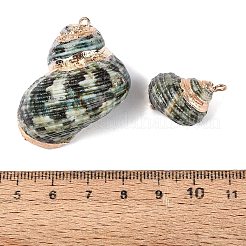 Pendentifs en spirale naturelle galvanoplastie&nbsp;SSHEL-Q100-55G