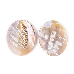 Подвески из натурального пресноводного жемчуга и пресноводных ракушек SHEL-T020-52