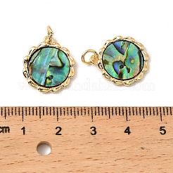 Подвески из натуральных ракушек пауа&nbsp;KK-G538-36G