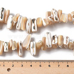 Fili di perline di conchiglia trochus naturali tinti&nbsp;X-SSHEL-C013-09K