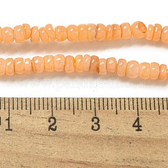 Chapelets de perles de coquille d'eau douce naturelle teinte&nbsp;X1-BSHE-G039-07A