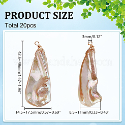 20 шт. подвески из натуральных пресноводных ракушек с гальваническим покрытием PALLOY-WR00019