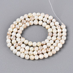 Нити бусин из натуральных пресноводных раковин цвета ab BSHE-T014-40C