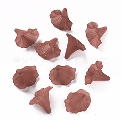 Прозрачные акриловые бусины&nbsp;BSF796-C06