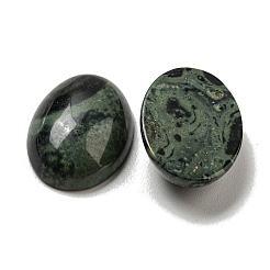 Natürliche Kambaba Jaspis Cabochons&nbsp;G-C115-01A-22
