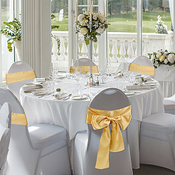 Полиэфирная лента&nbsp;DIY-WH0321-45