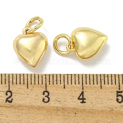 Cremagliera pendenti in ottone placcatura&nbsp;LS-KK-L075-012G-01