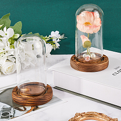 Стеклянный купол&nbsp;AJEW-SC0001-61B