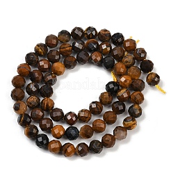 Природных тигровый глаз бисер нитей&nbsp;LS-G-L628-B03-6mm