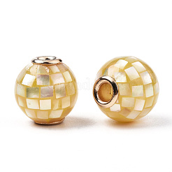 Натуральные белые бусины из ракушек SSHEL-N034-131I