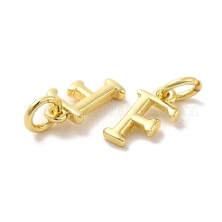 Messing Anhänger & Charms&nbsp;KK-M273-03G-F