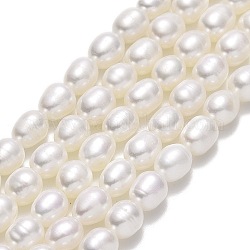 Fili di perle di perle d'acqua dolce coltivate naturali, riso, biancheria, 6.5~7.5x5~5.5mm, Foro: 0.6 mm, circa 53pcs/filo, 14.17'' (36 cm)