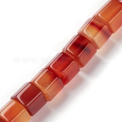 Chapelets de perles rouges en agate naturelle, polygone, 14x14x10.5mm, Trou: 1mm, Environ 20~21 pcs/chapelet, 8.07~8.46 pouce (20.5~21.5 cm)