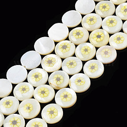Perlas naturales de esmalte de concha de agua dulce, plano y redondo con flor, amarillo champagne, 11x3mm, agujero: 0.8 mm, aproximamente 32 pcs / cadena, 14.37 pulgada (36.5 cm)