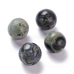 Perle naturali di diaspro di kambaba, Senza Buco / undrilled, per filo avvolto processo pendente, tondo, 20mm