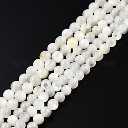 Fili di perline di conchiglia bianco naturale, tondo, 3~3.5mm, Foro: 0.8 mm, circa 123~124pcs/filo, 14.76 pollice ~ 14.88 pollici (37.5~37.8 cm)