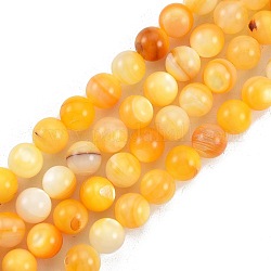 Fili di perline di conchiglia giallo dorato naturale, tondo, 8mm, Foro: 0.9 mm, circa 49pcs/filo, 14.96 pollice (38 cm)