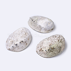 Natürliche Abalone-Muschel / Paua-Muscheldekoration, Schale, elfenbeinfarben, 125~130x90~100x40~50 mm