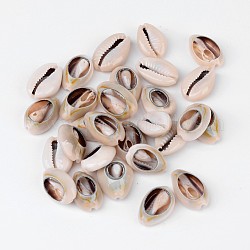 Natural Cowrie Shell Beads, No Hole/Undrilled, Seashell Color, 18~22.5x13~17x6~8mm, about 340pcs/500g