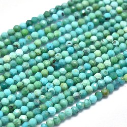 Naturali Hubei perline turchesi fili, sfaccettato, tondo, 2mm, Foro: 0.3 mm, circa 197pcs/filo, 15.16 pollice (38.5 cm)