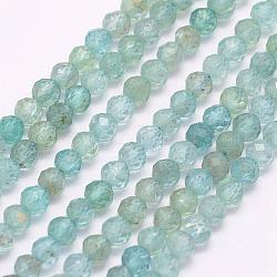 Chapelets de perles en apatite naturelle, facette, ronde, 3mm, Trou: 0.5mm, Environ 132 pcs/chapelet, 15.5 pouce (39.5 cm)