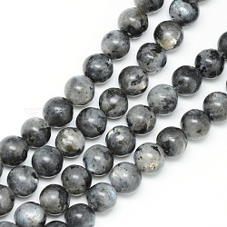 Natural Larvikite Beads Strands, Round, 8~9mm, Hole: 1mm, about 46pcs/strand, 15.3 inch