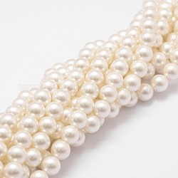 Chapelets de perles en coquille, perles en vrac pour la fabrication de bijoux, Grade a, ronde, floral blanc, 6mm, Trou: 0.8mm, Environ 62 pcs/chapelet, 16 pouce