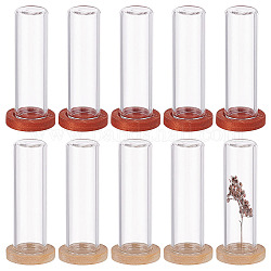 NBEADS 10 Sets Mini Cloche with Base, 1.57x0.47 Mini Eternal Flower Glass Cloche Clear Glass Display Case Flat Top Bell Jar Cloche for Centerpieces Plants Rocks Specimens Decorations Crafts