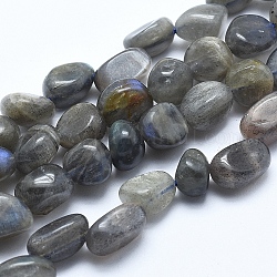 Natural Labradorite Beads Strands, Tumbled Stone, Nuggets, 8~10mm, Hole: 0.8mm, about 30~35pcs/strand, 15.7 inch(40cm)