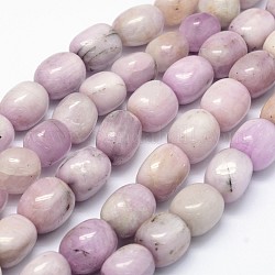 Chapelets de perles en kunzite naturelle, perles de spodumène, pierre roulée, pépites, 12~16x11~15mm, Trou: 1mm, Environ 24~31 pcs/chapelet, 15.75 pouce (40 cm)