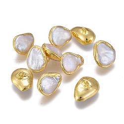 Colgantes naturales de perlas cultivadas de agua dulce, con instrumentos de viento, lágrima, borde dorado plateado, dorado, 19~21x13~17x6.5~9mm, agujero: 1.8 mm