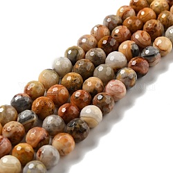 Chapelets de perles en agate fou naturel, facetté (128 facettes), ronde, 8.5mm, Trou: 1mm, Environ 45 pcs/chapelet, 14.96 pouce (38 cm)