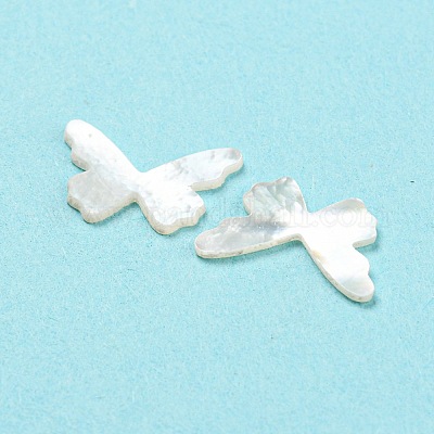 Природные кабошоны с морской раковиной SHEL-D079-16-1