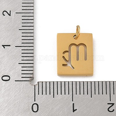 Подвески из нержавеющей стали 304 STAS-R001-03G-06-1