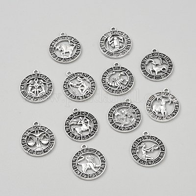 12 шт. Подвески из сплава в тибетском стиле FIND-WH0148-479AS-1