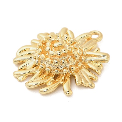 Латунные подвески&nbsp;KK-I380-13G-1