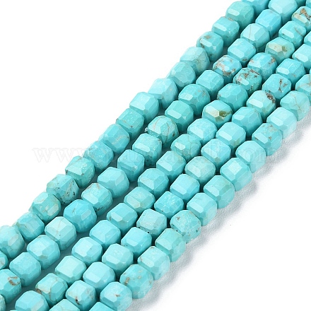 Natural Howlite Beads Strands G-G001-A01-02-1