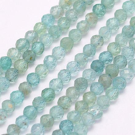 Chapelets de perles en apatite naturelle G-I156-05-3mm-1