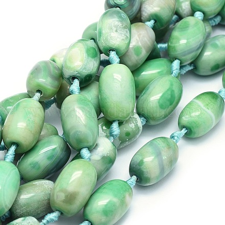 Natural Agate Beads Strands TDZI-O003-22-1