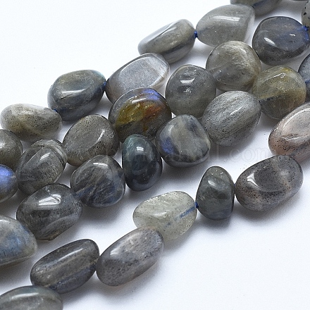 Natural Labradorite Beads Strands X-G-E483-60-1