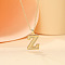 Alloy Textured Initial Pendant Necklaces, Golden, Letter Z, 18.31 inch(46.5cm)