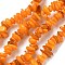 Natural Freshwater Shell Beads Strands, Chip, Dyed, Gold, 6~16x4~8x1~7mm, Hole: 1mm, about 97~157pcs/strand, 15.75 inch(40cm)