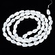 Chapelets de perles de coquille de trochid / trochus coquille SSHEL-N034-94A-B01-2
