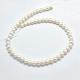 Natural Cultured Freshwater Pearl Beads Strands PEAR-F007-22-2