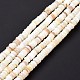 Chapelets de perles de coquillage SSHEL-E571-49I-6
