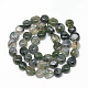 Chapelets de perles en agate mousse naturelle X-G-R445-8x10-01-2