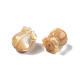 Perle trochid naturali / conchiglie trochus SSHEL-N003-145B-A02-4