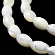 Natural Trochus Shell Beads Strands BSHE-E030-02B-4