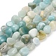 Натуральный цветок амазонитовые бусины пряди G-P568-C18-01-2